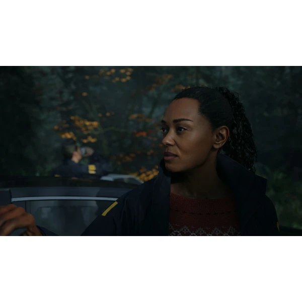 Alan Wake 2 Deluxe Edition (PS5) - Hry na PS5 - Obrázok 1336000P01