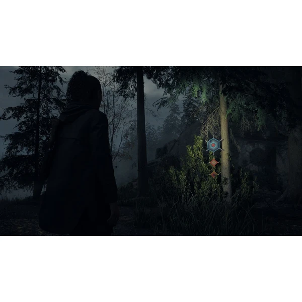 Alan Wake 2 Deluxe Edition (PS5) - Hry na PS5 - Obrázok 6336000P01