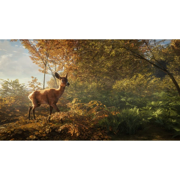 theHunter: Call of the Wild (PS4) - Hry na PS4 - Obrázok 7JX3100201