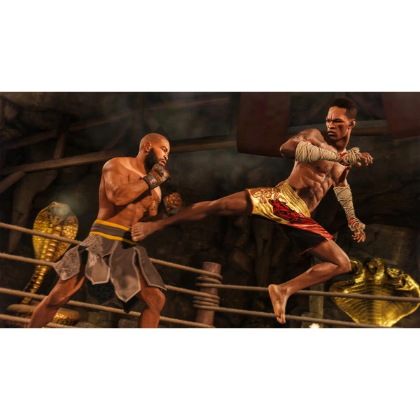 EA UFC 4 (Xbox One) - Hry na Xbox One - Obrázok AEWI100201