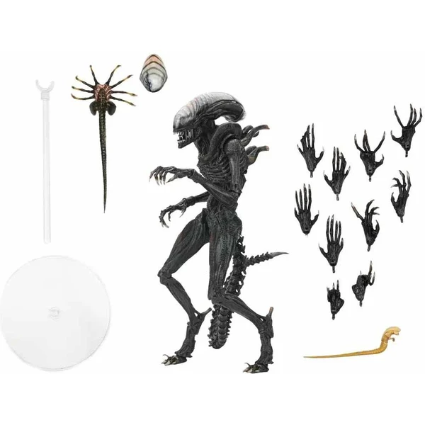 Figúrka Neca Alien: Romulus - Scorched Xenomorph 18 cm - Figúrky - Obrázok G74G000L01