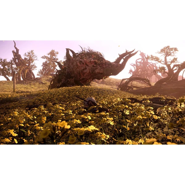 Wild Hearts (Xbox Series X) - Hry na Xbox Series - Obrázok JC4J100501