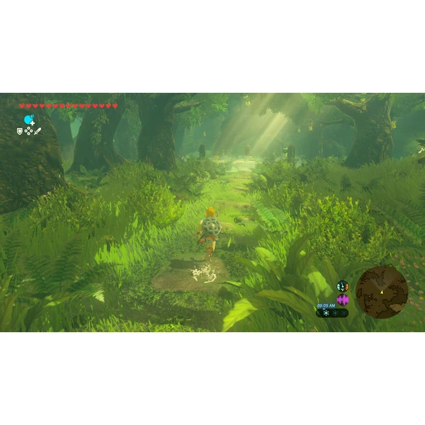 Legend of Zelda: Breath of the Wild - NS2 Edition (Switch 2) - Hry na Nintendo Switch 2 - Obrázok P7OF000L01