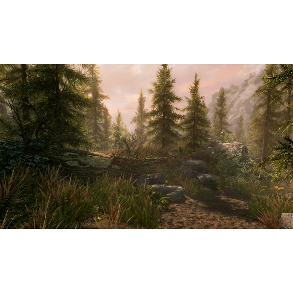 The Elder Scrolls V: Skyrim (Xbox One) - Hry na Xbox One - Obrázok RH44100201