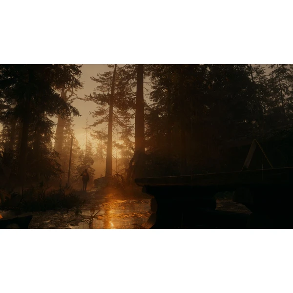 Alan Wake 2 Deluxe Edition (PS5) - Hry na PS5 - Obrázok V236000P01