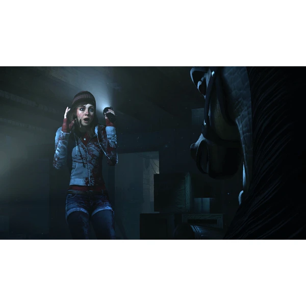 Until Dawn (PS4) - Hry na PS4 - Obrázok WER4100201