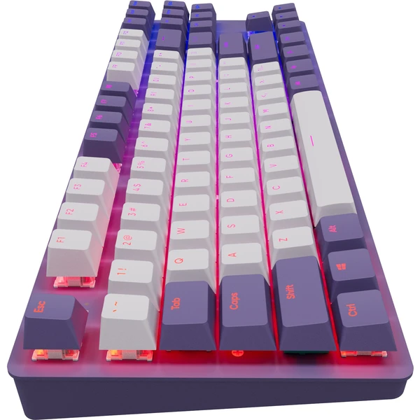 Dark Project One KD87A Skeleton Violet/White / ABS top print / G3MS Mechanical Sapphire (ENG) - Klávesnice - Obrázok WLT9700301